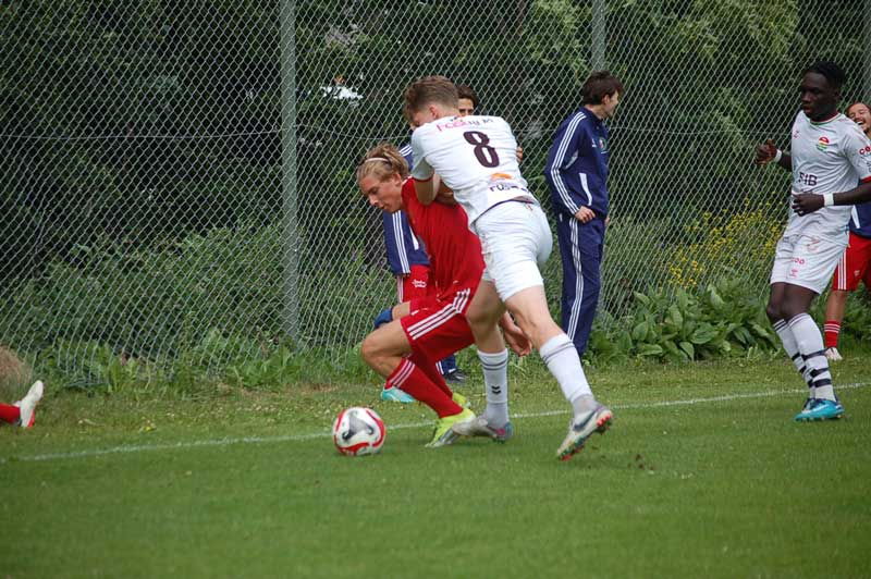 Bild 15