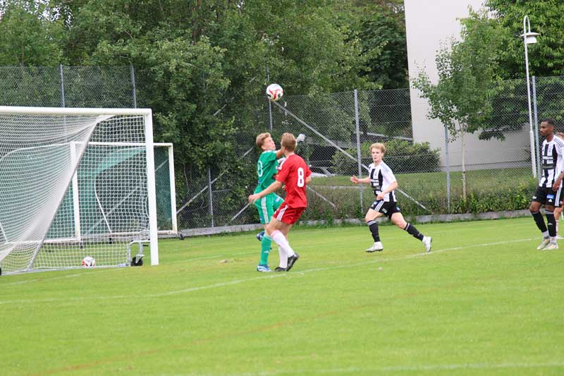 Bild 15
