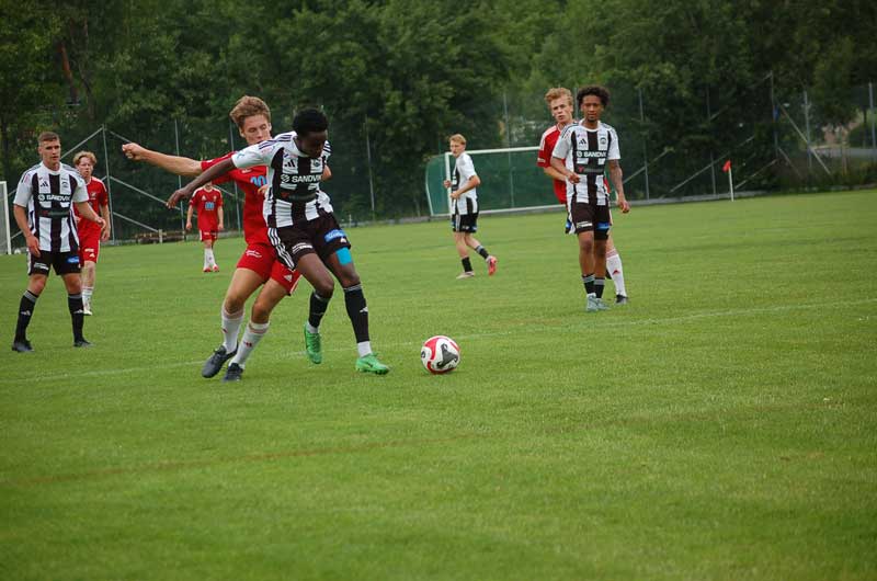 Bild 21