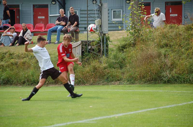 Bild 15