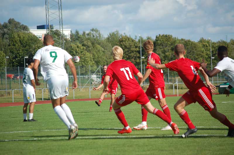 Bild 8