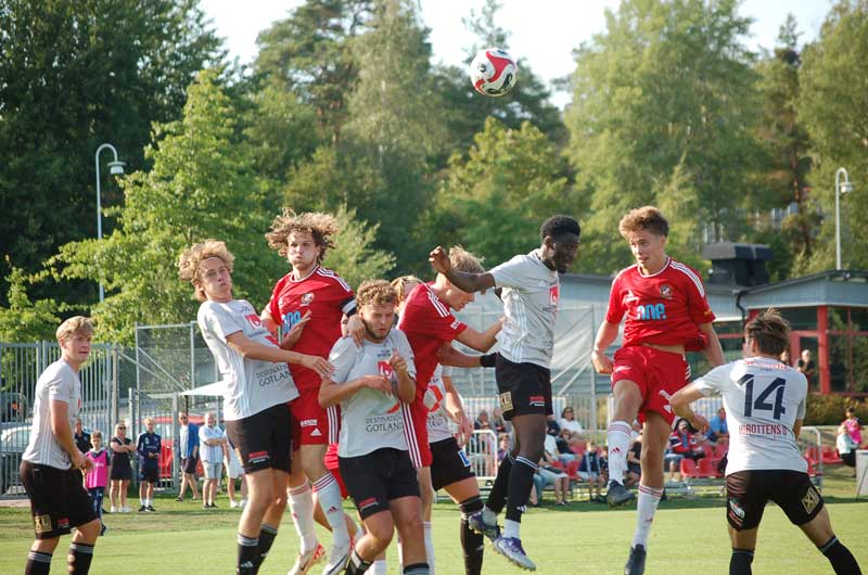 Bild 19