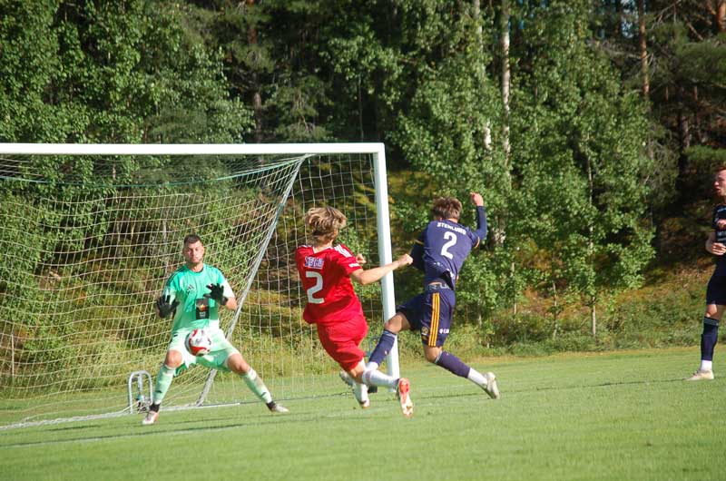 Bild 17
